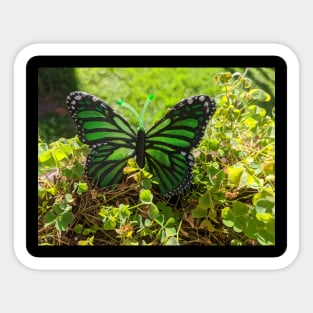 Green Resin Butterfly Sticker